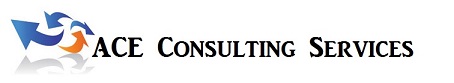 ACE Consulting Services, Small Business Consulting